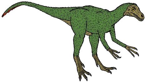 Dilong paradoxus