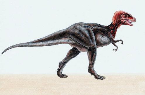 Tyrannosaurus Rex